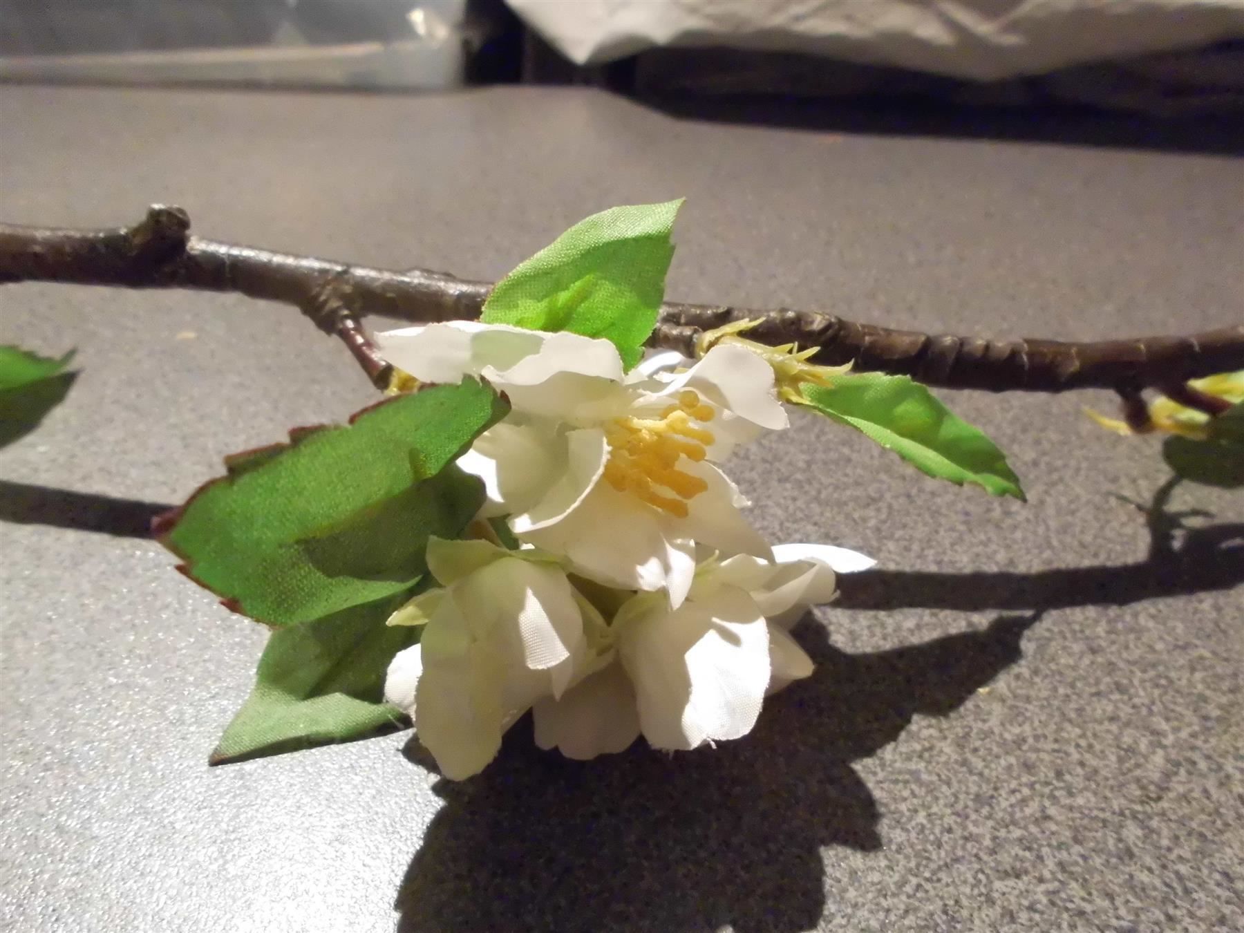Pots de fleurs: Ast mit weissen Blumen – D'occasion à Zürich par Motzkuh 1