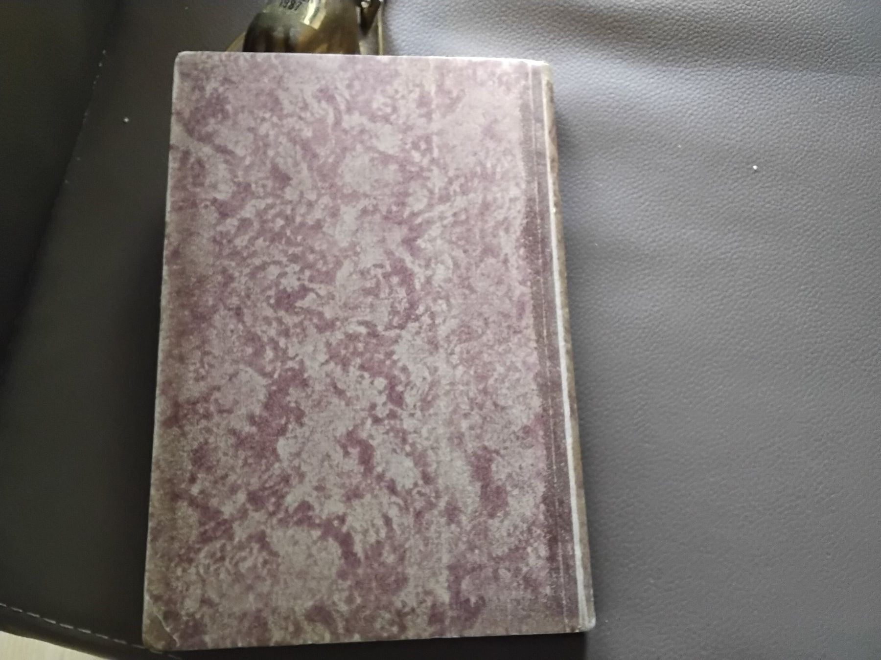 Libri: Biel/ Bienne ein Führer , Buch 1922 – Usato da Biel/Bienne venduto da taki25 9