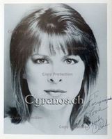 Candy Clark (1947) Schauspielerin -sign. Grossfoto