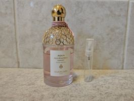 Guerlain Aqua Allegoria Rosa Rossa Harvest (cf Delina Rose)