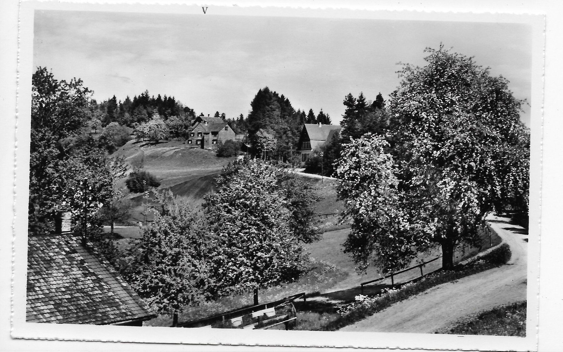 Cartes postales: Dingetswil, "Ferienheim Concordia Winterthur" – D'occasion à Hefenhofen par Richsalz