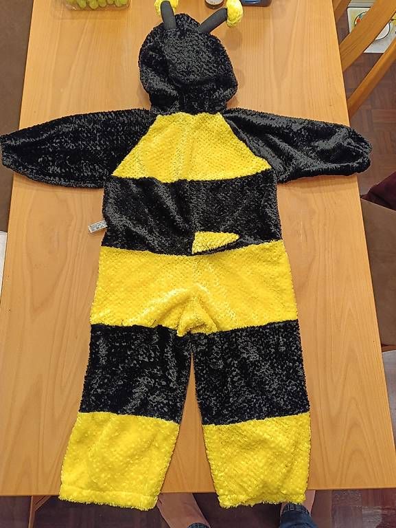 Costumi: Costume carnevale bimbo/a  – Usato da Viganello venduto da biz_cp9h 1