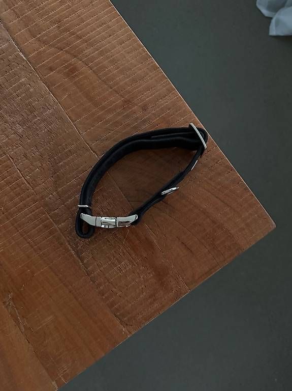 Guinzagli & Collari: Hunter Halsband – Usato da Basel venduto da Mariaberi 1