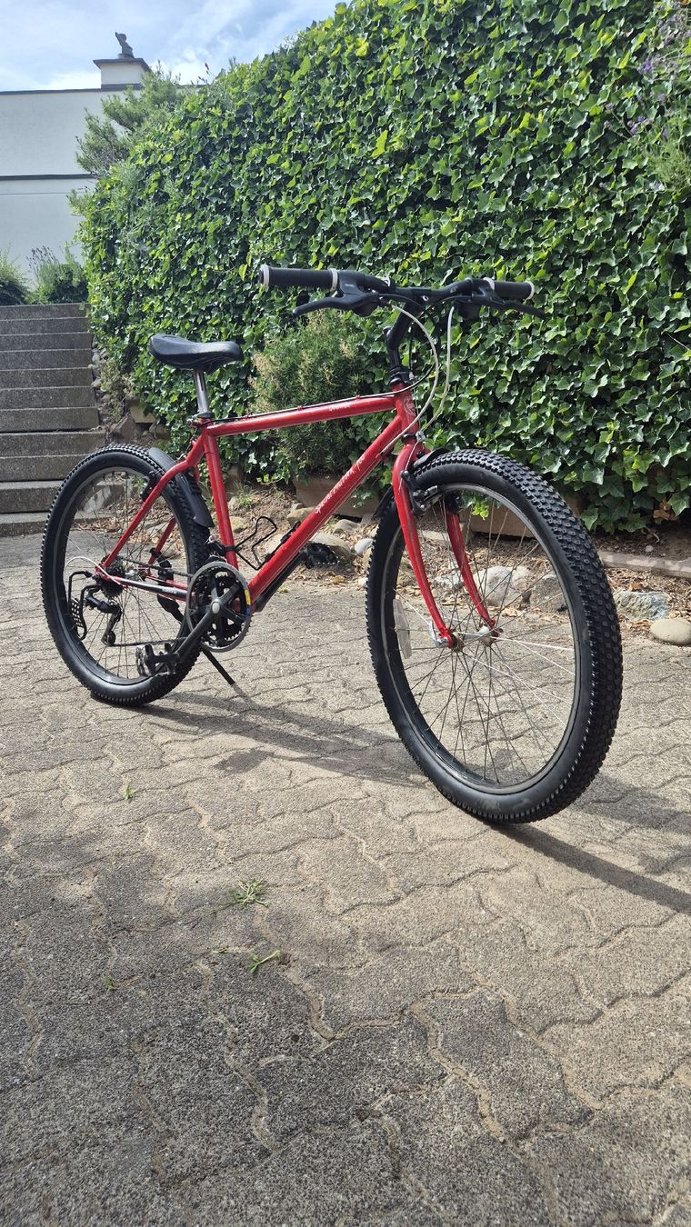 Velos: Velo – Gebraucht aus Oberhasli von Velo_Susak 1