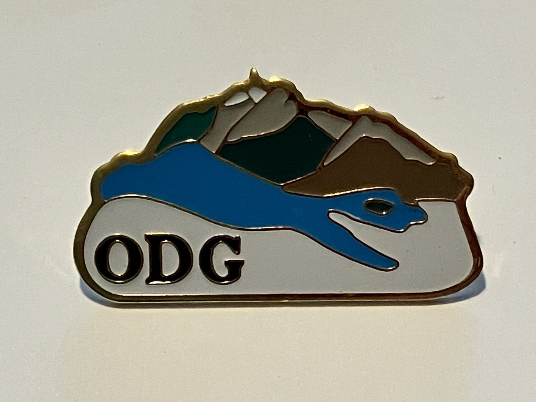 Plaquettes & Badges: 1 Pin ODG – D'occasion à Basel par djwwpp