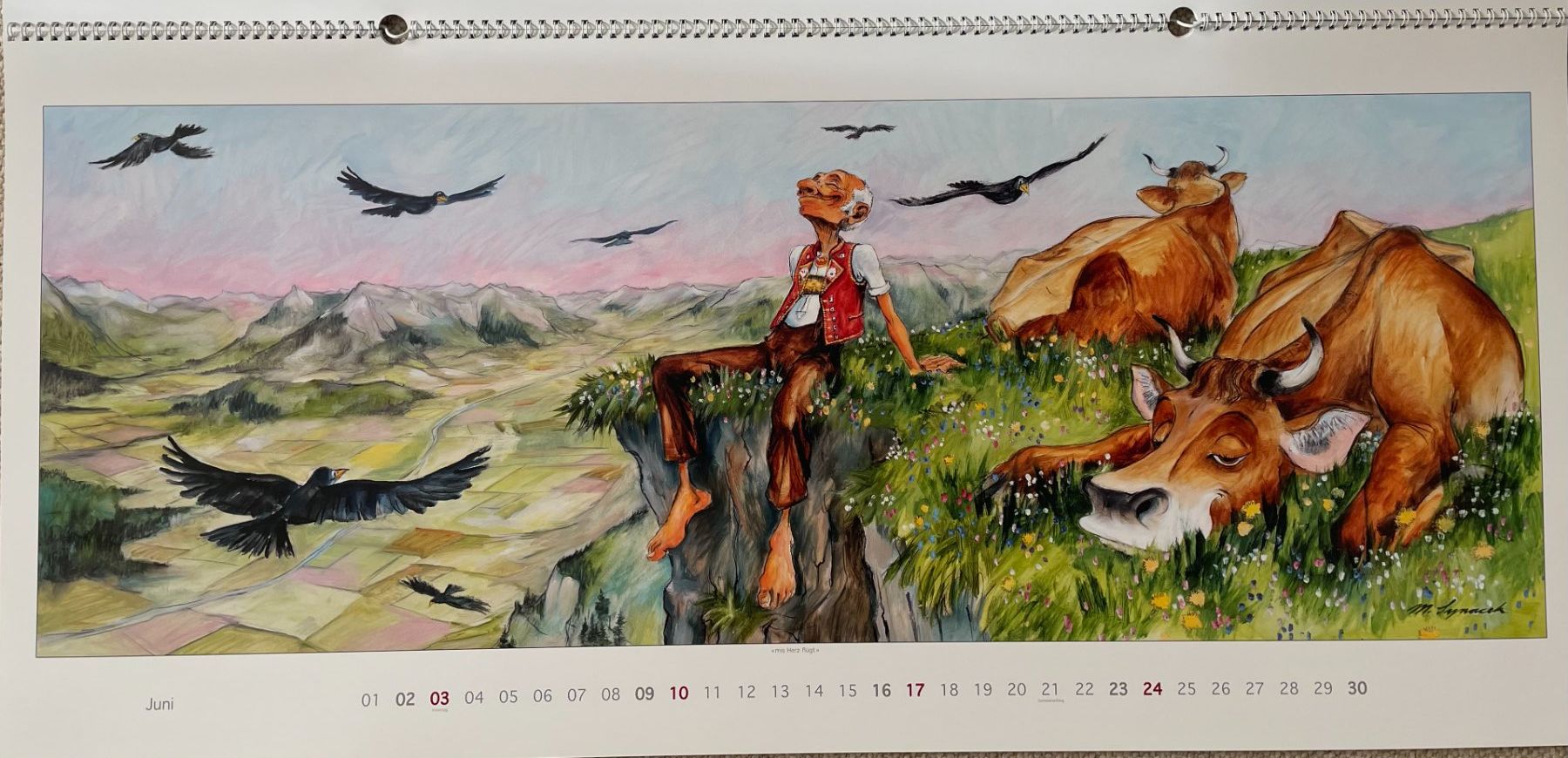 Calendari: Synacek Kalender – Usato da Rümlang venduto da Boehneli7 6