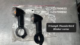 Triumph Thunderbird Blinker vorne  R+L