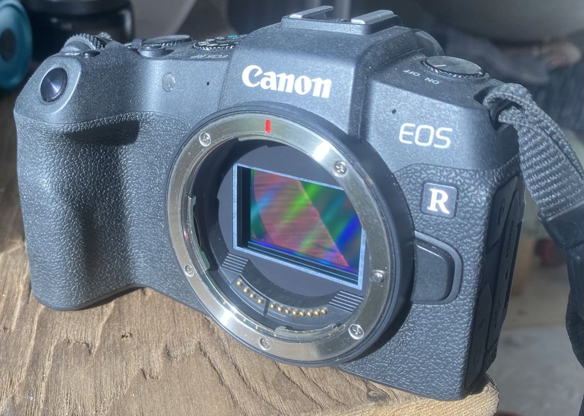 Canon Appareil photo: Canon EOS RP – D'occasion à Linescio par chi_cq6v