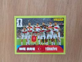 Panini Fifa TUR 13