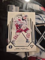 Bobby Nardella Rapperswil Jona Lakers Playoffs 2025 Sportzoo