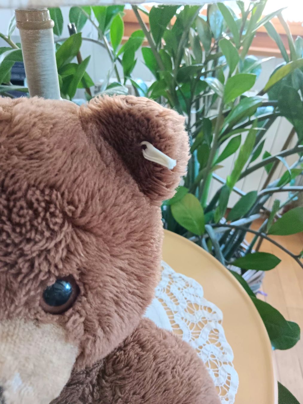 Jouets: alte Bär – D'occasion à Ambrì par Maerz87 1