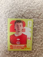 Carte Panini WM 2026