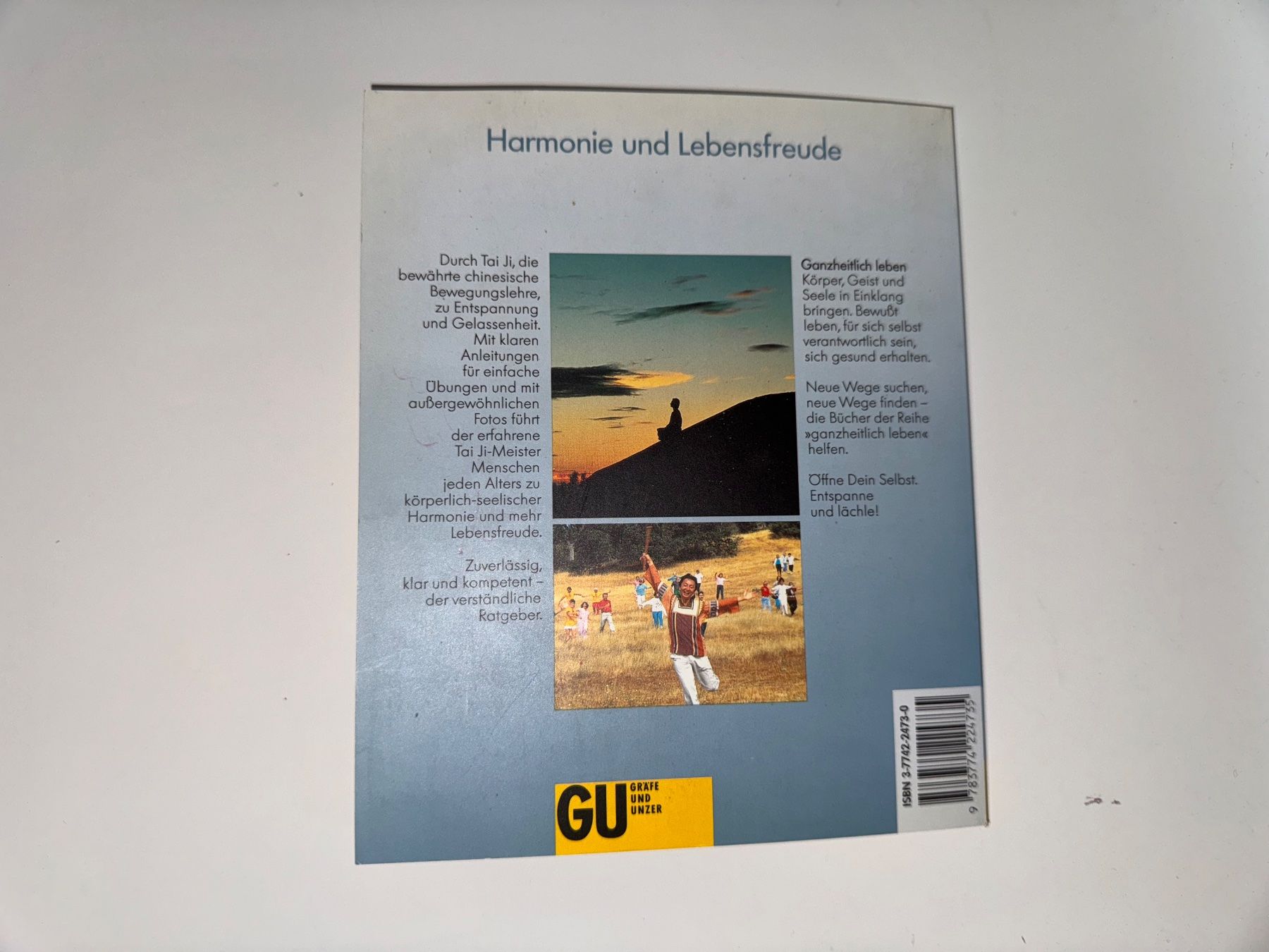 Libri: Buch: Tai Ji – Usato da Grosswangen venduto da Second_hand_paradise 5