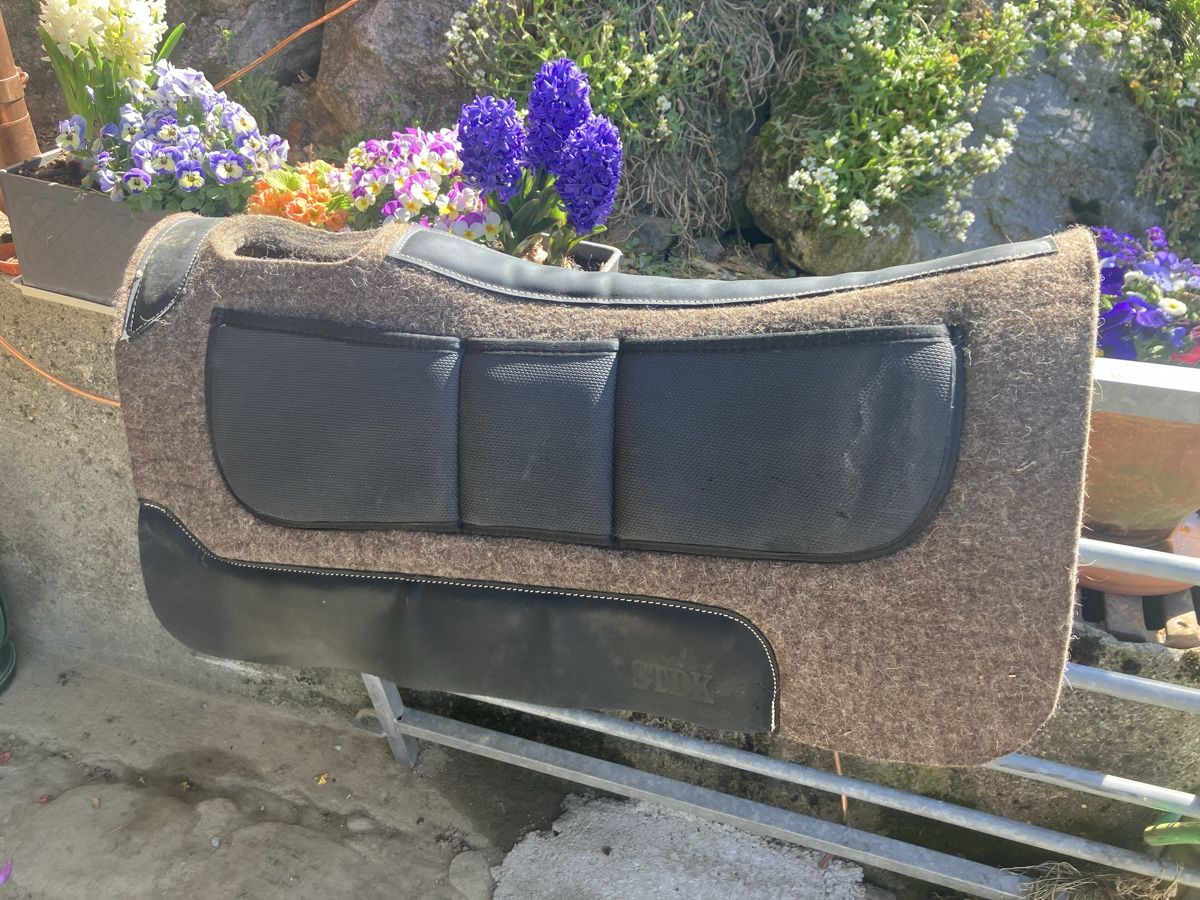 Selle & Accessori: Western-Reitpad – Nuovo (secondo la descrizione) da Utzigen venduto da Gigi007