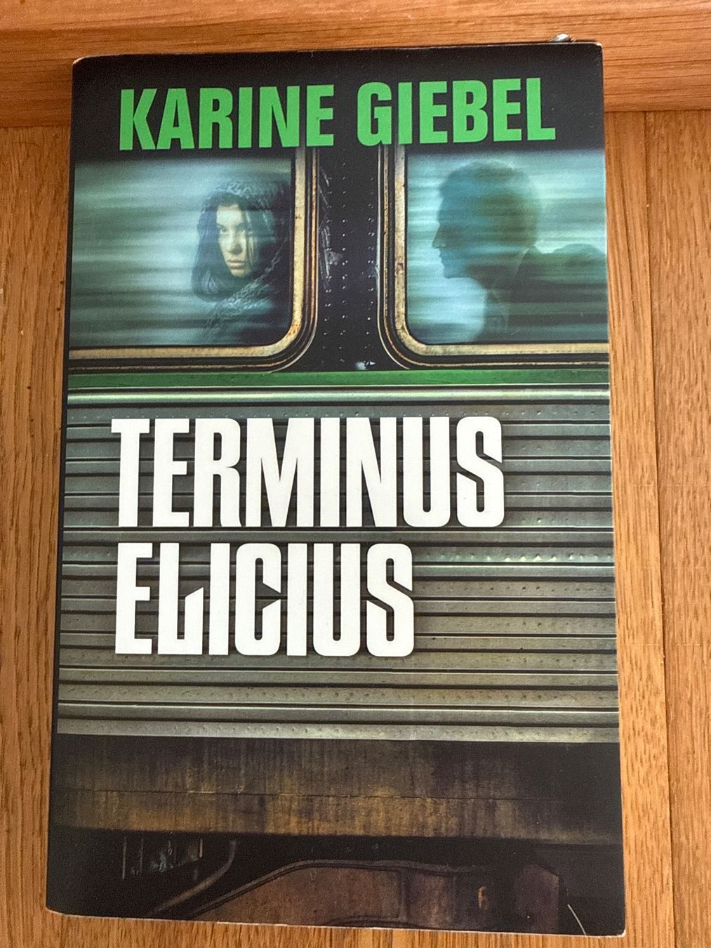 Libri: Karine Giebel: Terminus Elicius – Usato da Horw venduto da Edith1981