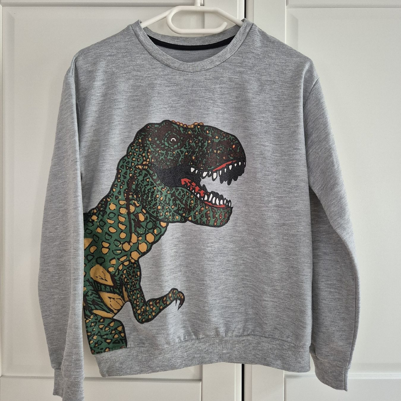 Maglioni & Felpe: Grauer Dino Pullover, Gr. S – Usato da Winterthur venduto da inkidaria 1