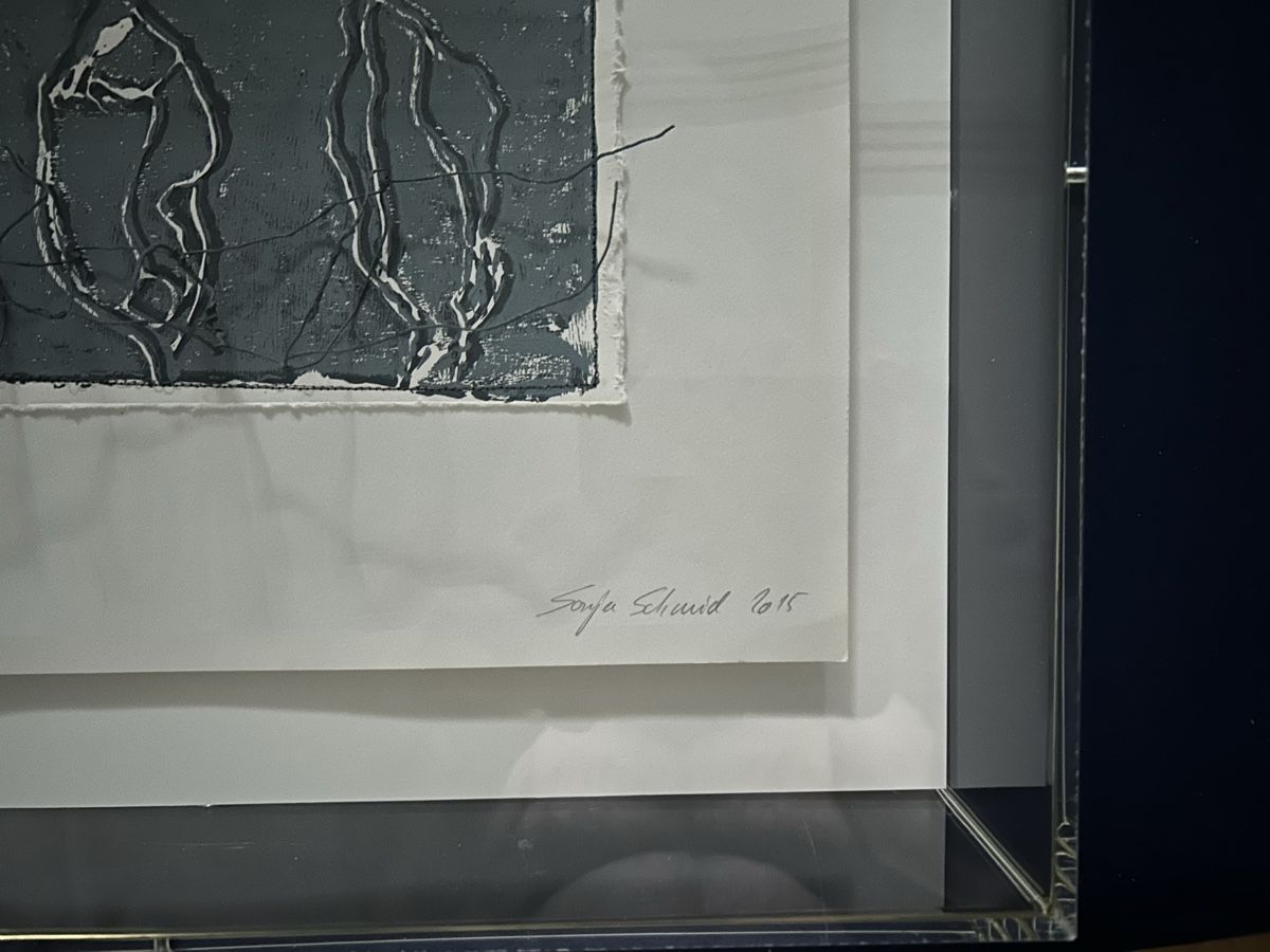 Dipinti: Sonja Schmid Papier 11 in Plexiglasbox – Usato da Frauenfeld venduto da Colonia64 1