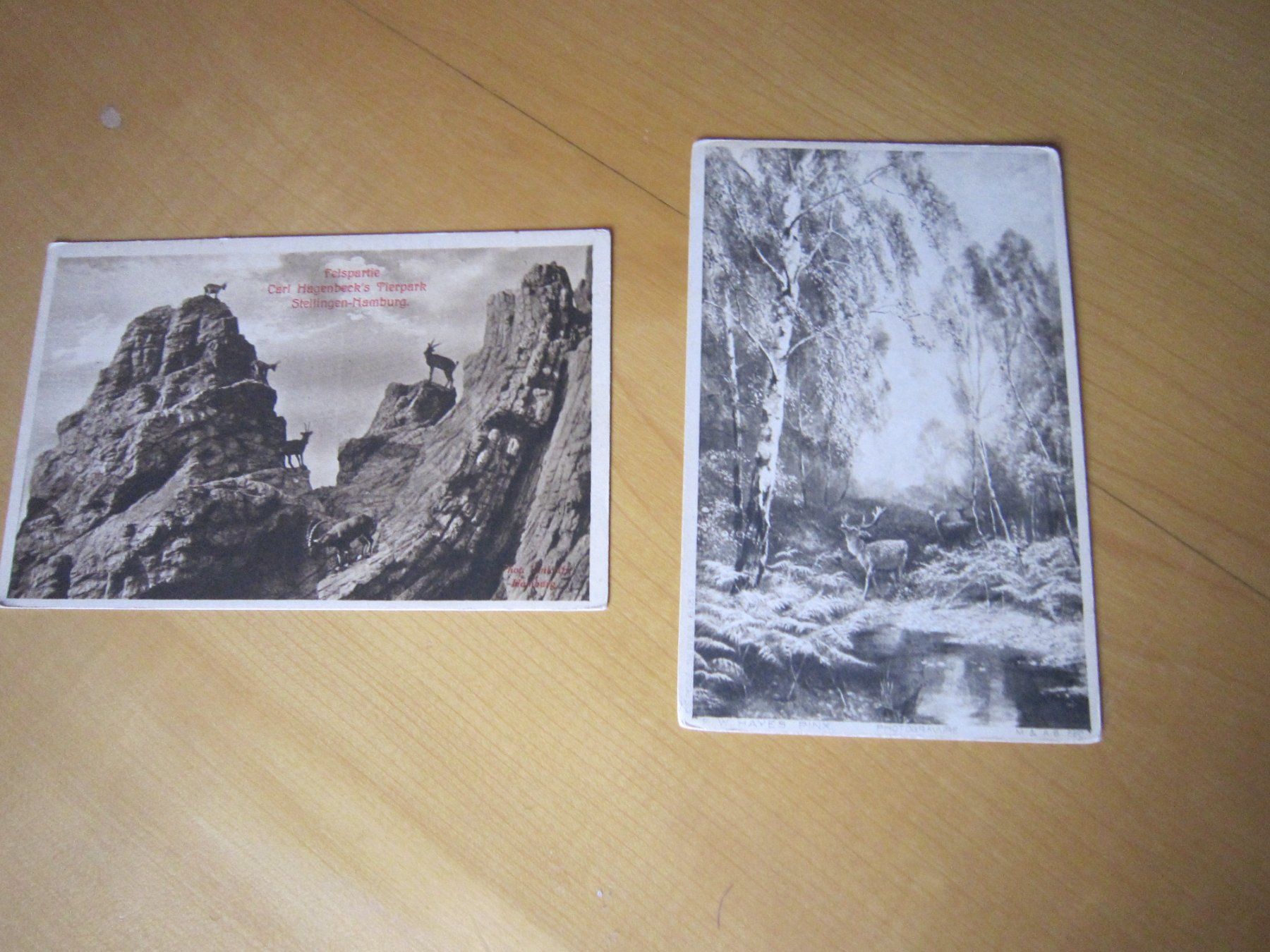 Cartoline postali: Antike Postkarten ALPENTIERE AB NUR 50 RP – Usato da Gordola venduto da Polentaefung