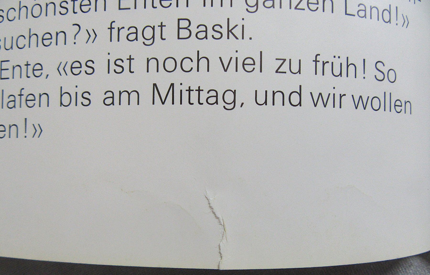 Libri: Baski - Baski's Flug mit der Wildente – Usato da Auenstein venduto da Padabimbim 5