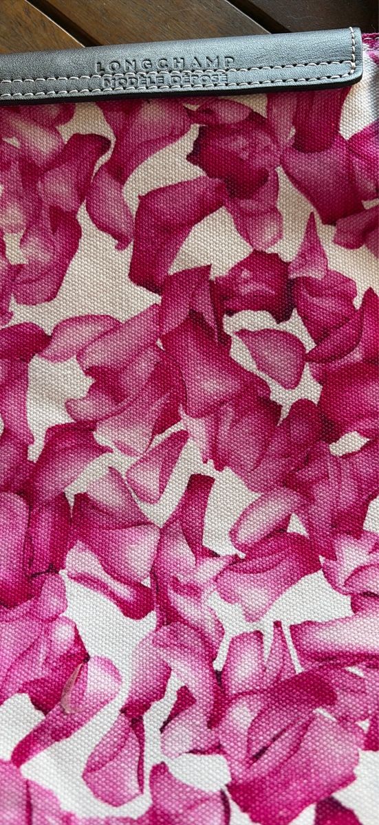 Longchamp Taschen für Damen: Longchamp Limited Edition – Neu (gemäss Beschreibung) aus Erlenbach ZH von mochtvor 3