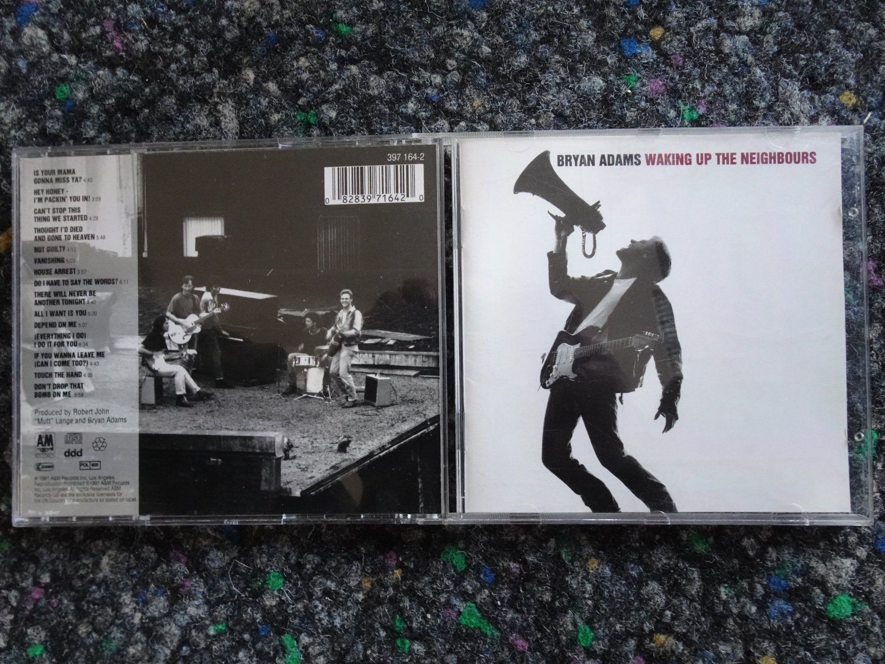 CD: CD : Bryan Adams – Usato da Lotzwil venduto da Kiddis