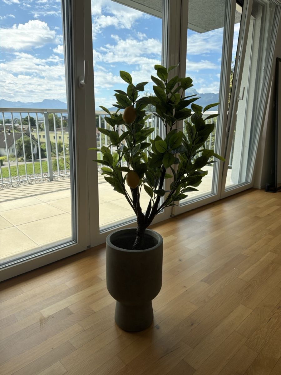 Alle Dekorationen: Deko Zitronenbaum mit Vase – Gebraucht aus Lüchingen von nem_nh7v 1