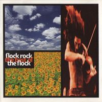 Jerry Goodman BEST OF THE FLOCK Fred Glickstein Jazz Rock CD