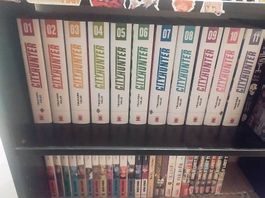 city hunter perfect édition 1 a 11
