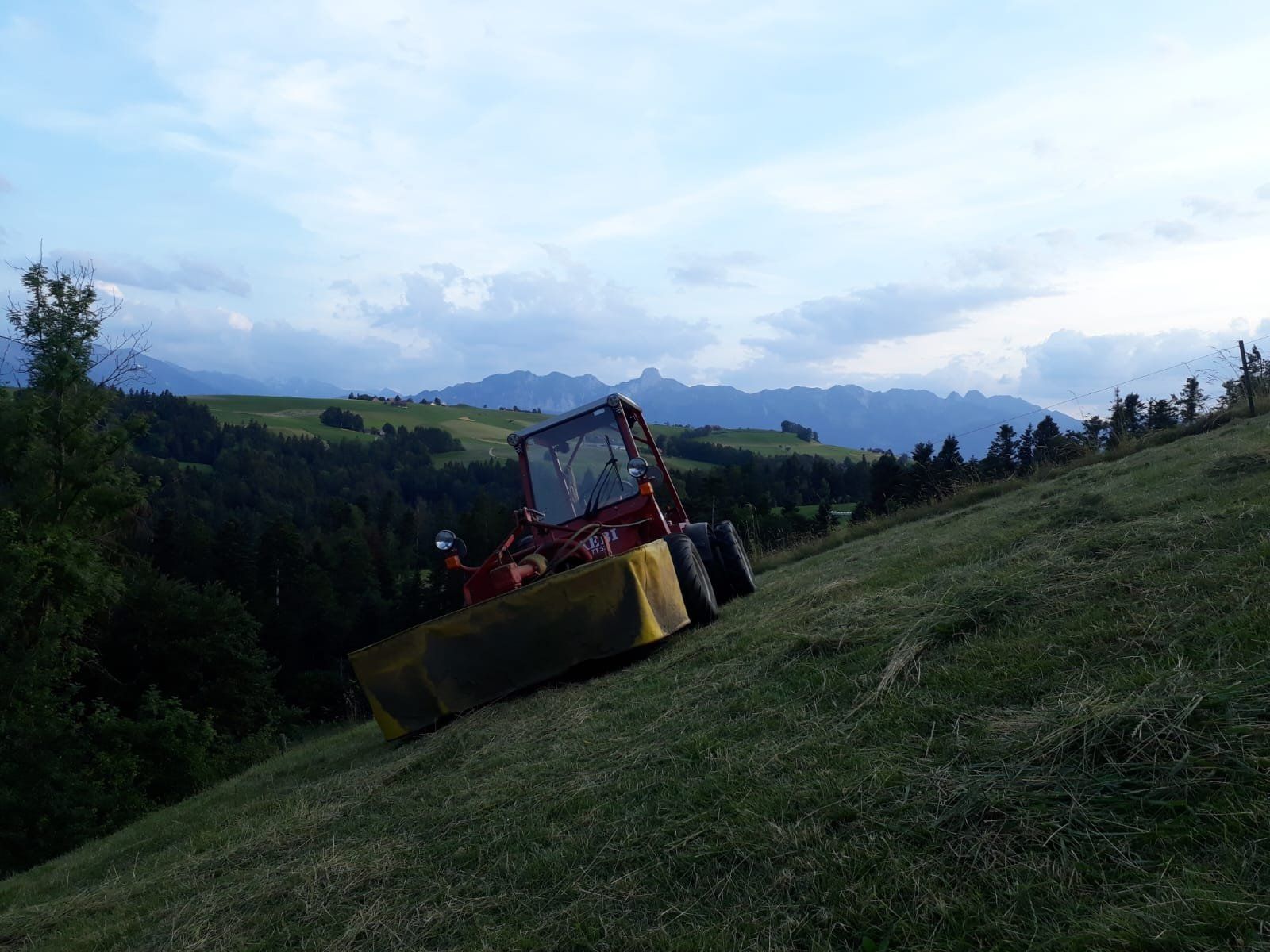 Aebi Traktoren: Aebi TT 33 mit Kubota Motor – Gebraucht aus Süderen von Peter123456789 4