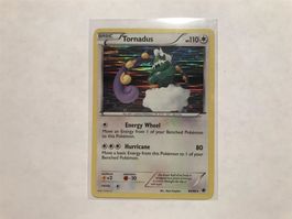 Tornadus holo