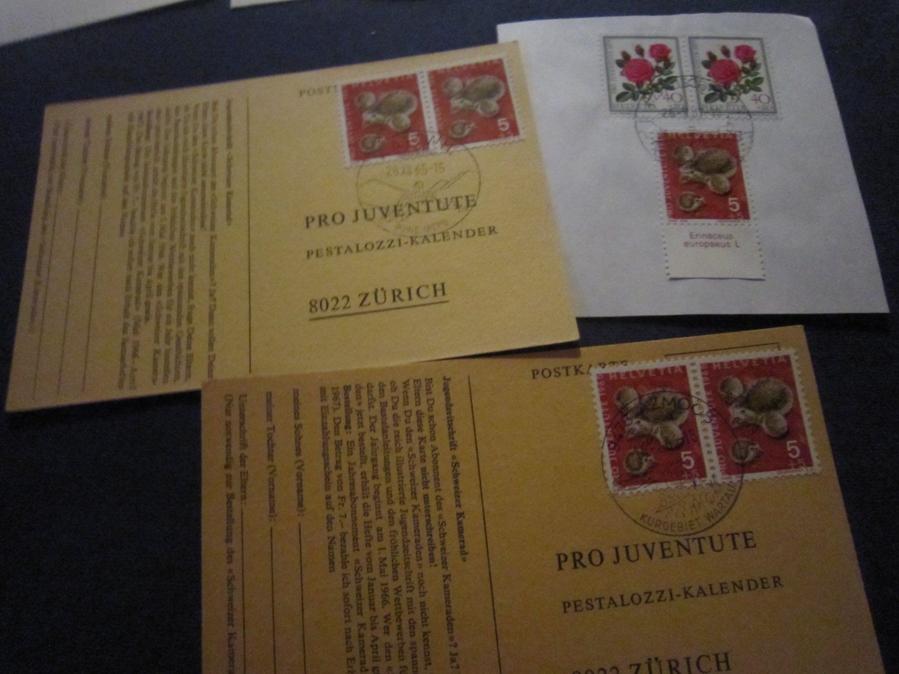 Alle Briefmarken: PJ 1965 FDC und verschiedene Marken – Gebraucht aus Gordola von Polentaefung 4