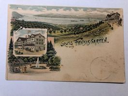 Ansichtskarte Hotel Feusisgarten Feusisberg gelaufen
