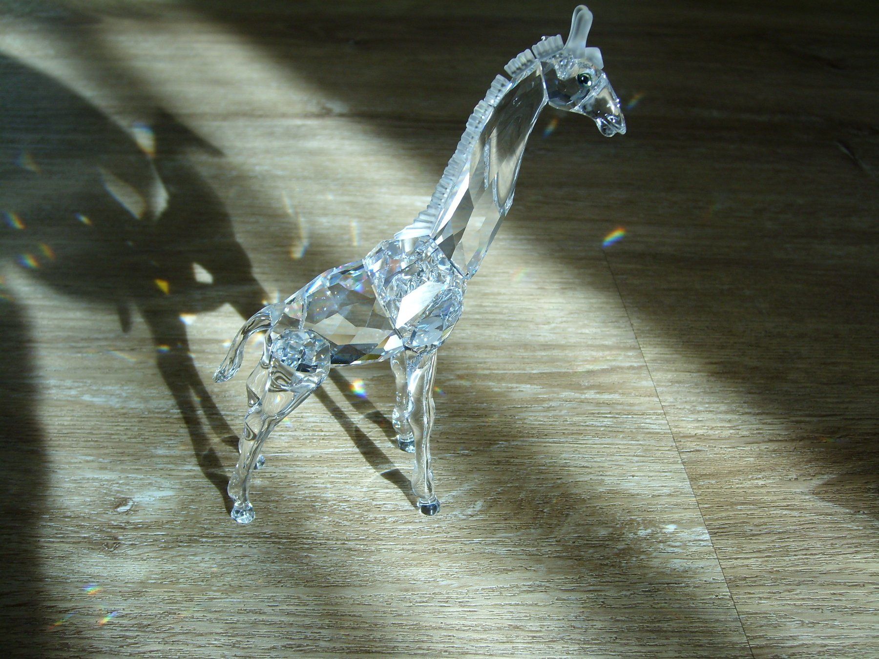 Swarovski Statuette: Swarovski Giraffe – Nuovo (secondo la descrizione) da Thierachern venduto da Shila99