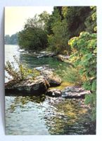 Rive du lac, Saint-Aubin - Sauges