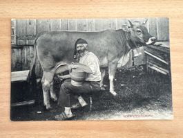 Alte Ansichtskarte: Schwyzer Älpler mit Kuh, Rarität! (52)
