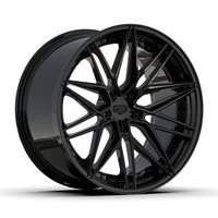 Felgen PS Wheels 14.1 (NP 7'000.-)