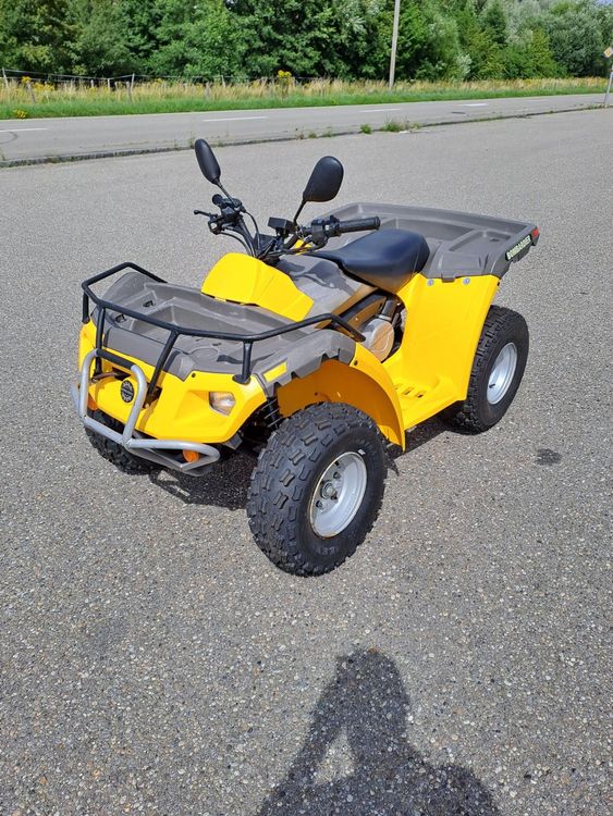 Quad Bombardier Rally 200 Kaufen auf Ricardo
