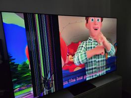 Samsung TV QE85QN90B ATXXN, displayschaden