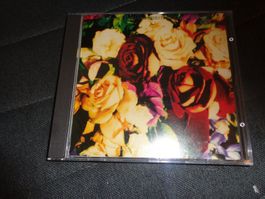 Dave Stewart and the Spiritual Cowboys CD