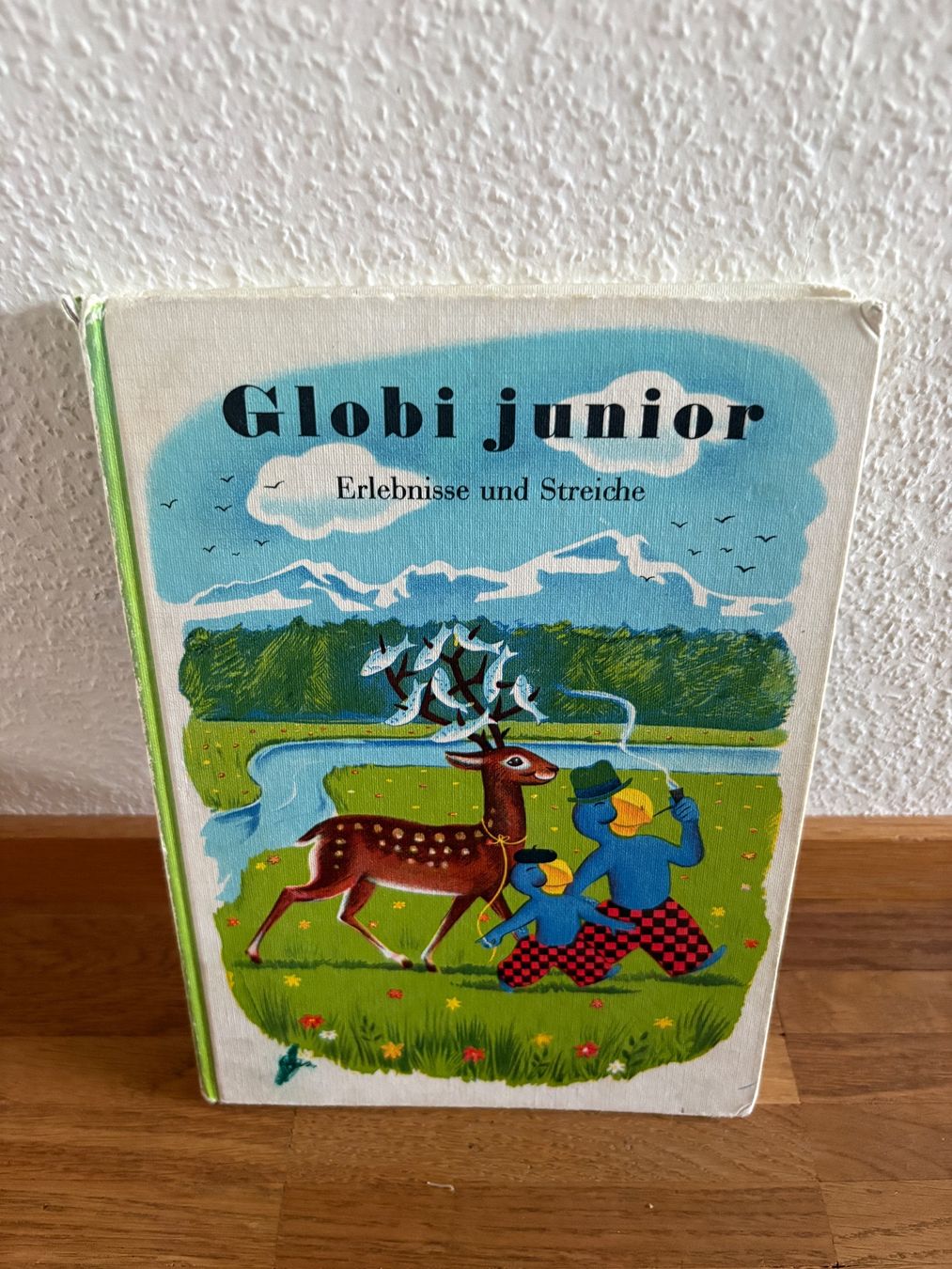 Livres: Globi Junior – D'occasion à Zürich par sch_kqj7