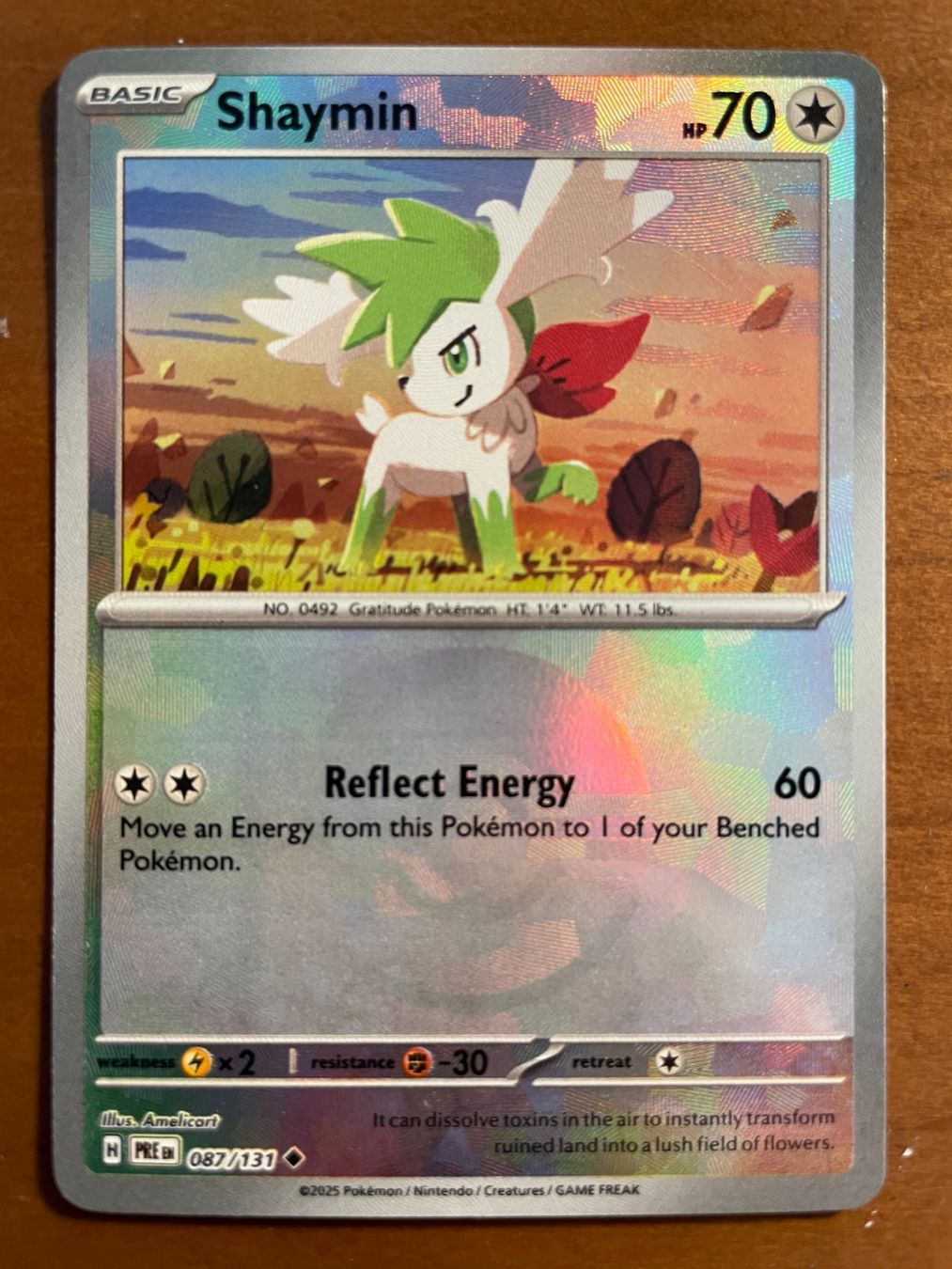 Pokémon Carte collezionabili: Pokemon Shaymin Pokeball (Versand gratis) – Nuovo (secondo la descrizione) da Chur venduto da Angerson