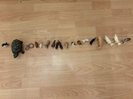 Diverse Tiere wie Ziegen, Schildkröte, Schlange