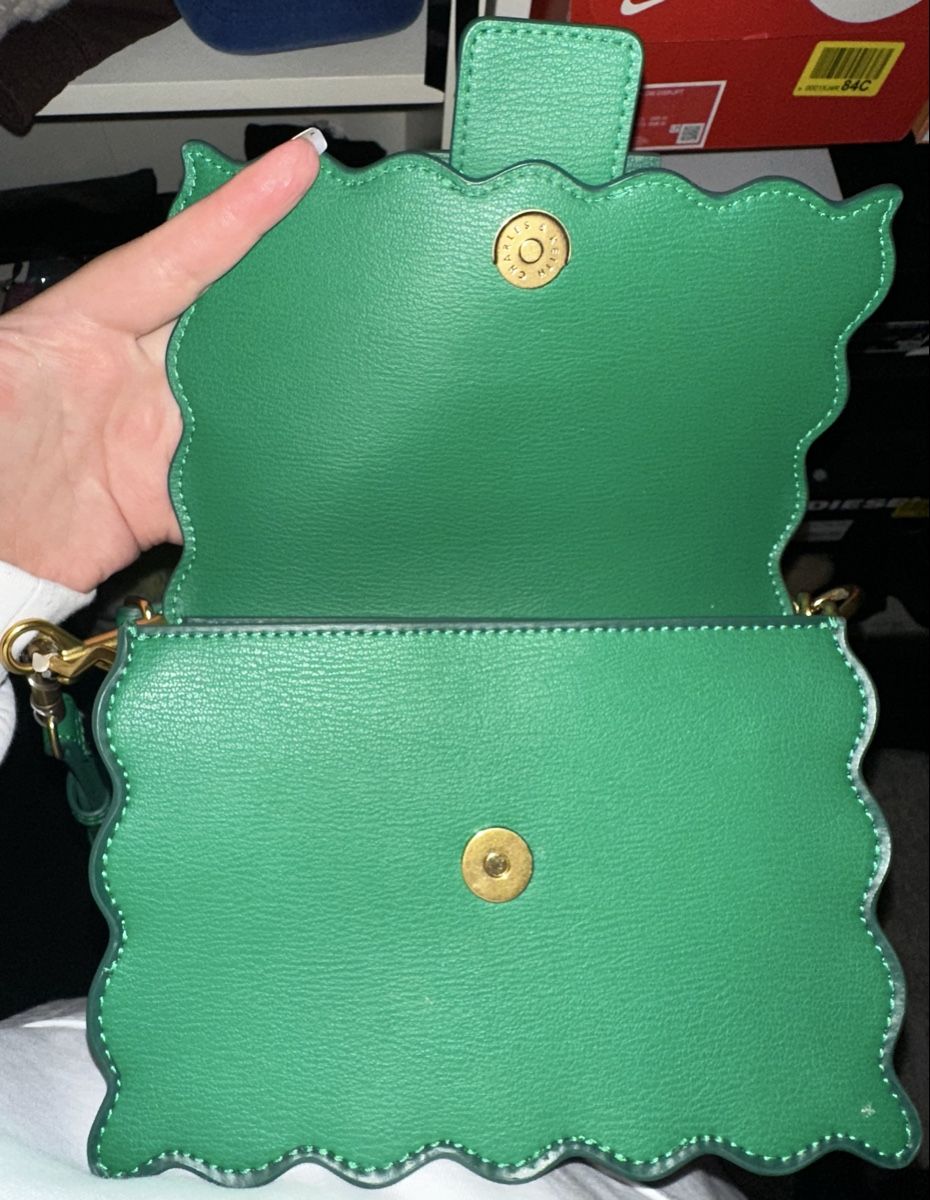 Borse da donna: Charles&Keith Tasche – Nuovo (secondo la descrizione) da Gutenswil venduto da jus_nr7h 2