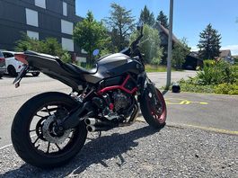 Yamaha Mt 07 moto cage