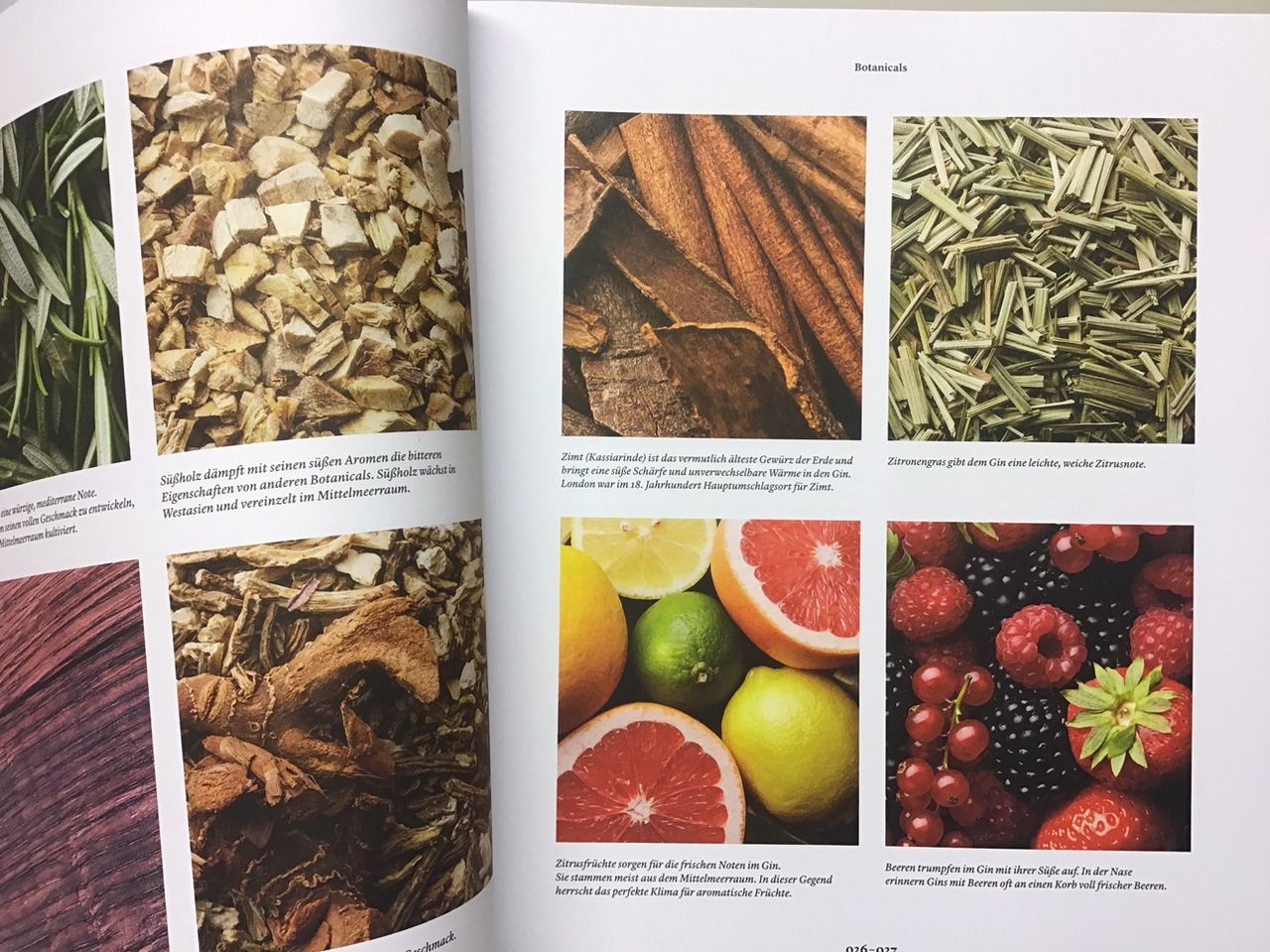 Libri: Gin Bar Drinks Barbook – Usato da Lichtensteig venduto da Babeli 1