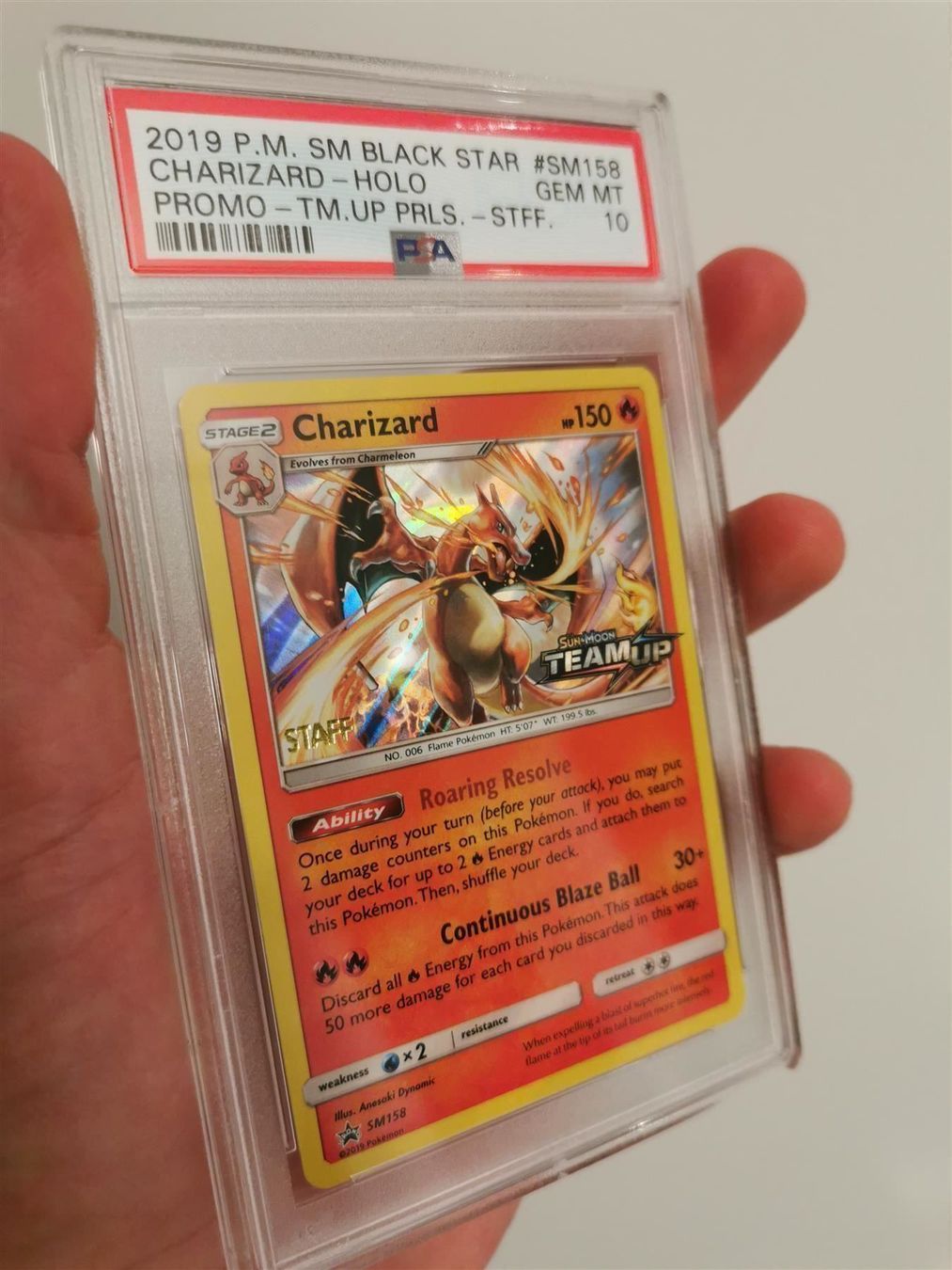 Pokémon Carte collezionabili: [PSA 10] Prerelease STAFF Charizard Holo – Nuovo (secondo la descrizione) da Widen venduto da Zu-Schlag 1
