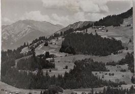 SCARDANAL mit dem Montalin - Haus Miraval