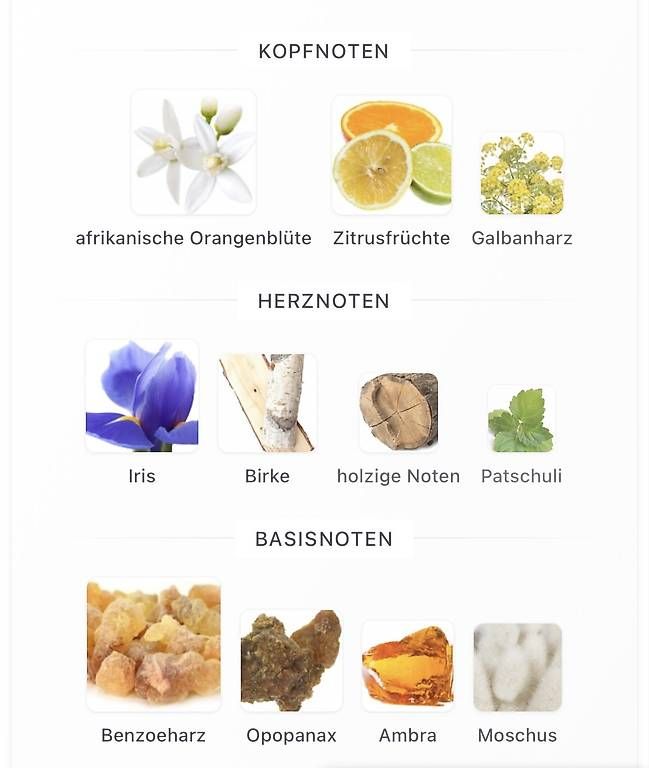 Xerjoff Profumi & Eau de Toilette: Parfüm von Xerjoff "Elle" – Usato da Zürich venduto da bab_rr77 4