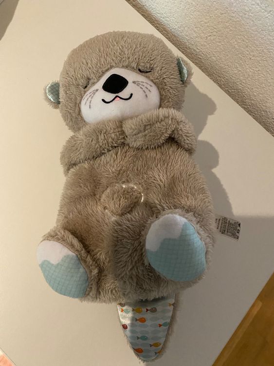 Schlummer-Otter Fisher Price | Kaufen auf Ricardo