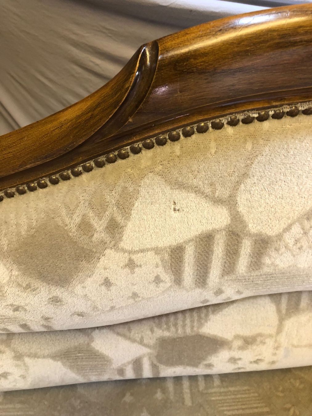 Divani: Hübsches Biedermeier Hirschsofa – Usato da Röschenz venduto da Tashroal 1